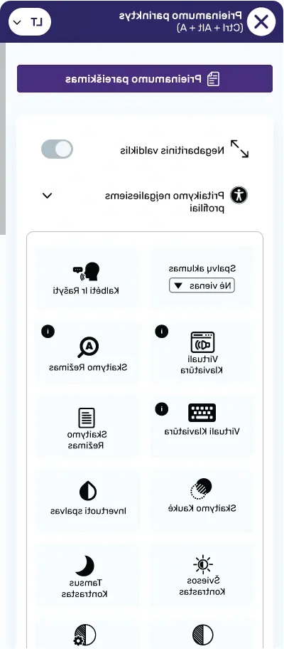 lithuanian website accessibility widget